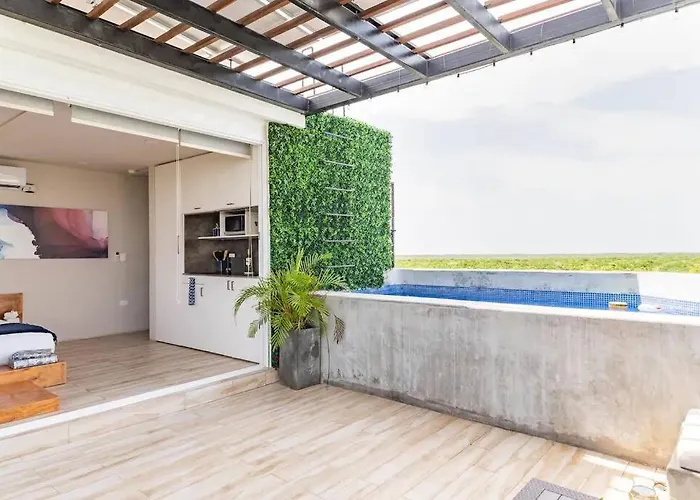 3br Penthouse With Rooftop Pool Near Centro