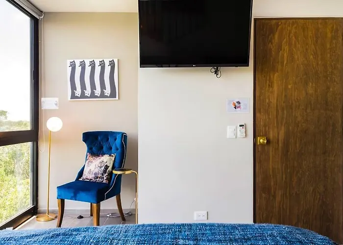 3br Penthouse With Rooftop Pool Near Centro Appartement *