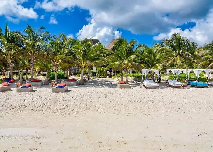 Appartement 3br Penthouse With Rooftop Pool Near Centro Tulum