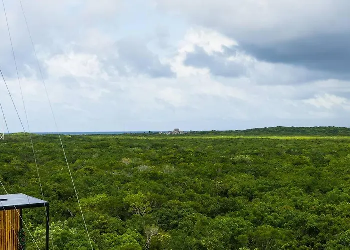 Appartement 3br Penthouse With Rooftop Pool Near Centro Tulum